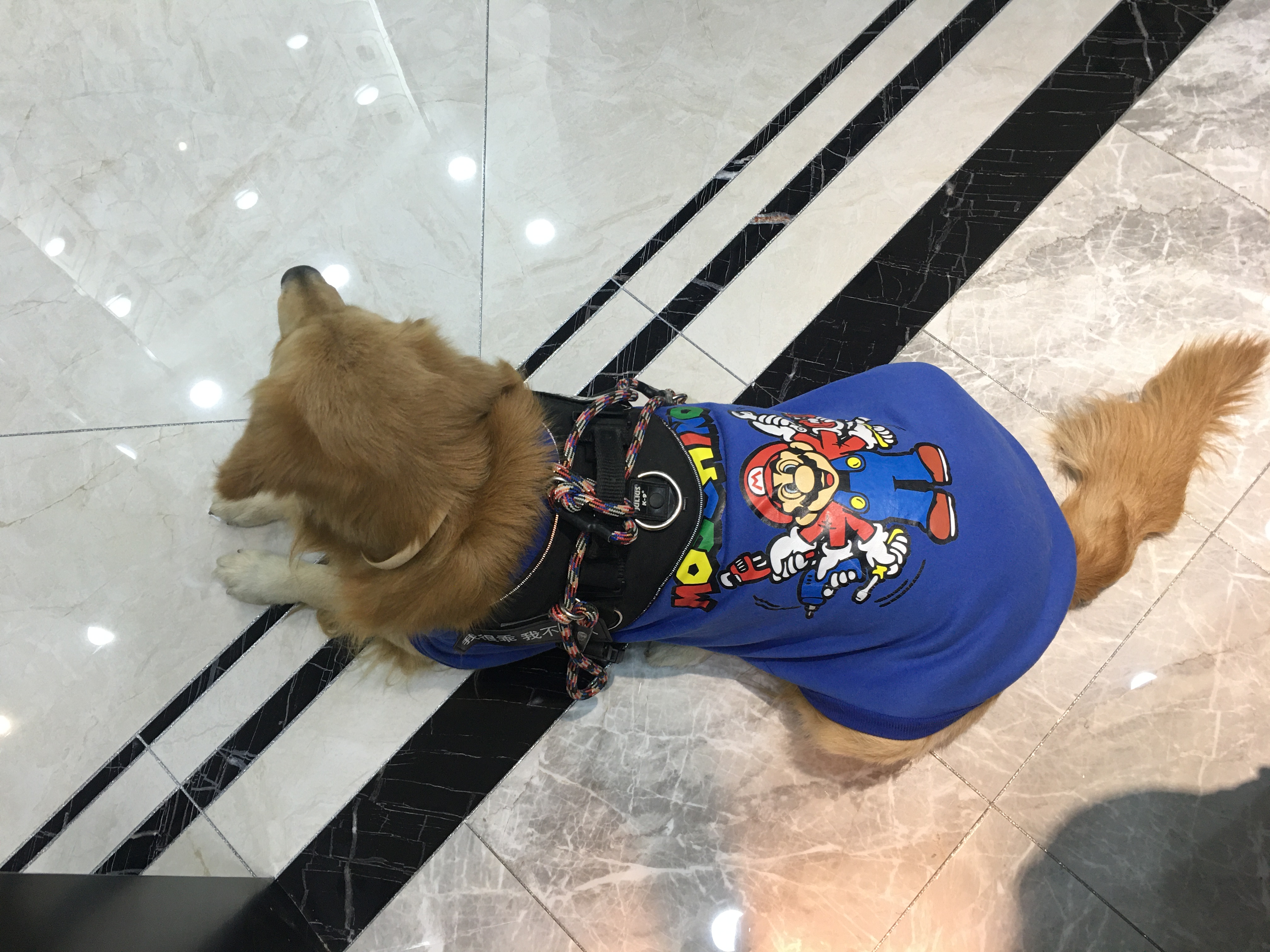 图片1