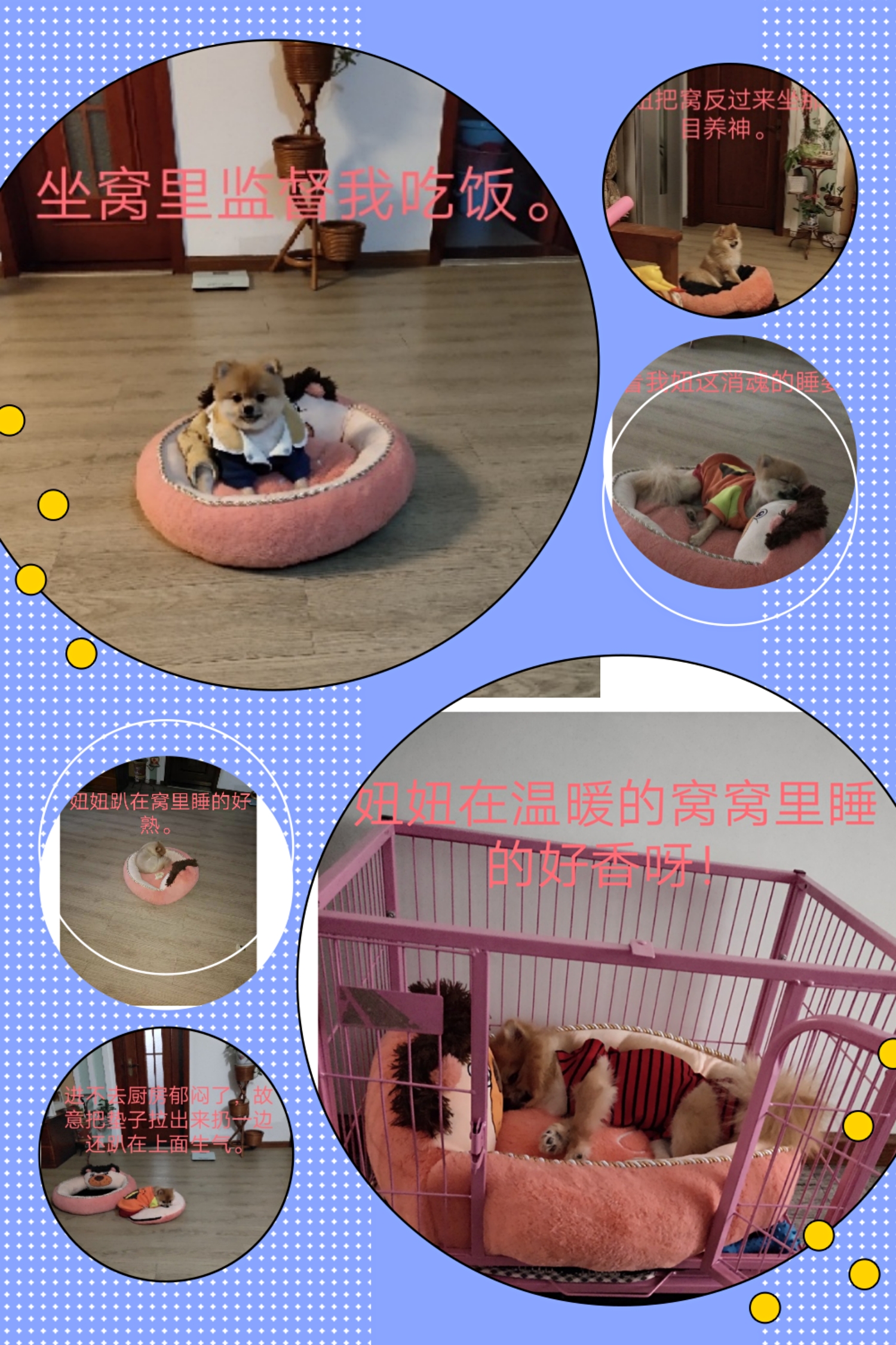 图片1