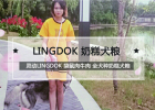 Lingdong Dog Food, Eat You No Discussion