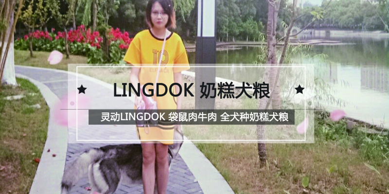 Lingdong Dog Food, Eat You No Discussion