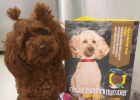 Live Streaming... Chat with You Newton Dog Food Those Things