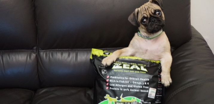 Dog Stomach Weak, Come Try This Soft Dog Food