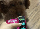 Wanpy Teddy Special Dog Food - Delicious Visible