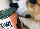A From Extremely Picky Dog KIWI Can Trial Report