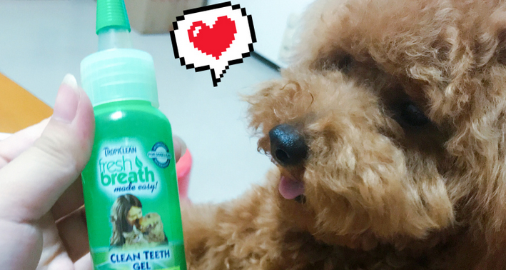 Goodbye Oral Problems ~ Fresh Breath Rely on It!