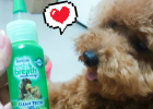 Goodbye Oral Problems ~ Fresh Breath Rely on It!
