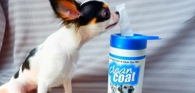 Lazy Cancer Patient Gospel, Make Bath Simpler - Yourun Pet Bath Wipes