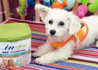 Maideshi High Calcium Low-sensitivity Goat Milk Powder
