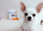 NexGard - Internal Take External Deworm New Food Era!