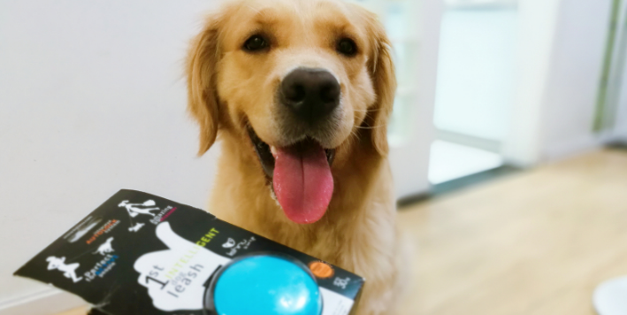 Wristband Style Walking Dog Artifact, Free Hands Rely on It!