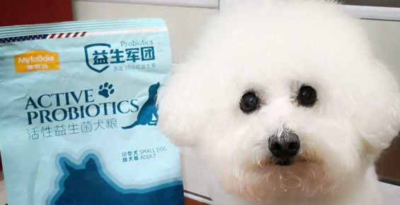 Myfoodie Probiotic Dog Food + Probiotic and Dog Food Perfect Combination