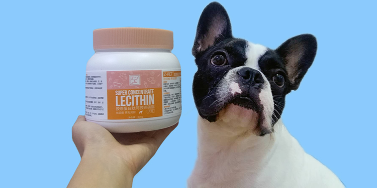 Eat Egg Yolk Lecithin for Beautiful Coat and Skin, Be a Refined Piggy Boy